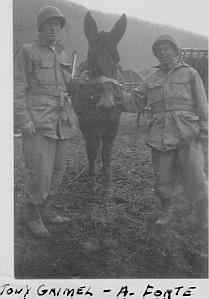 Tony Griemel and Angelo Forte, mule training West Virginia, 1944