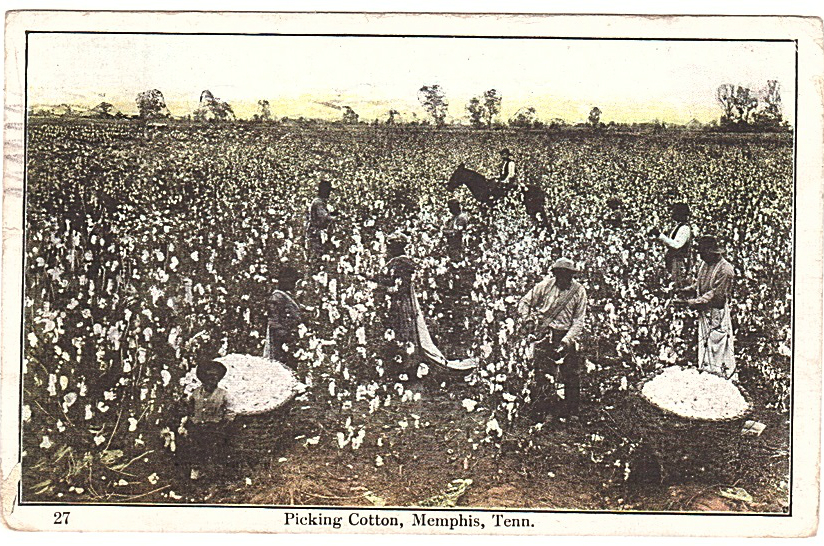 Other postcards from Justin Palmer