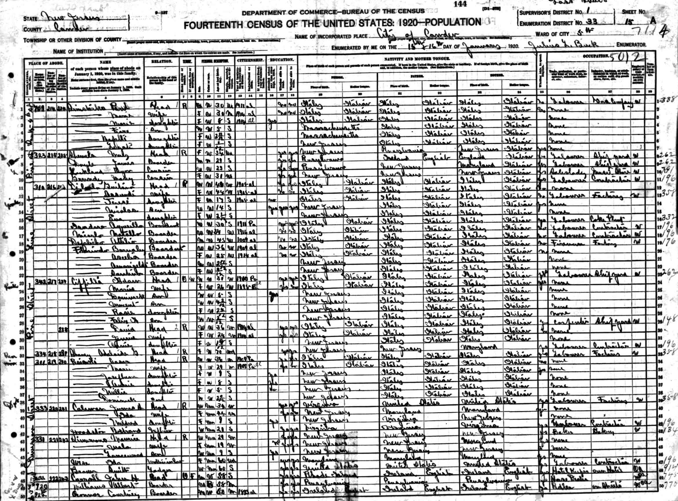 1920 Census — Amedeo Zippilli Family and David Zippilli Family