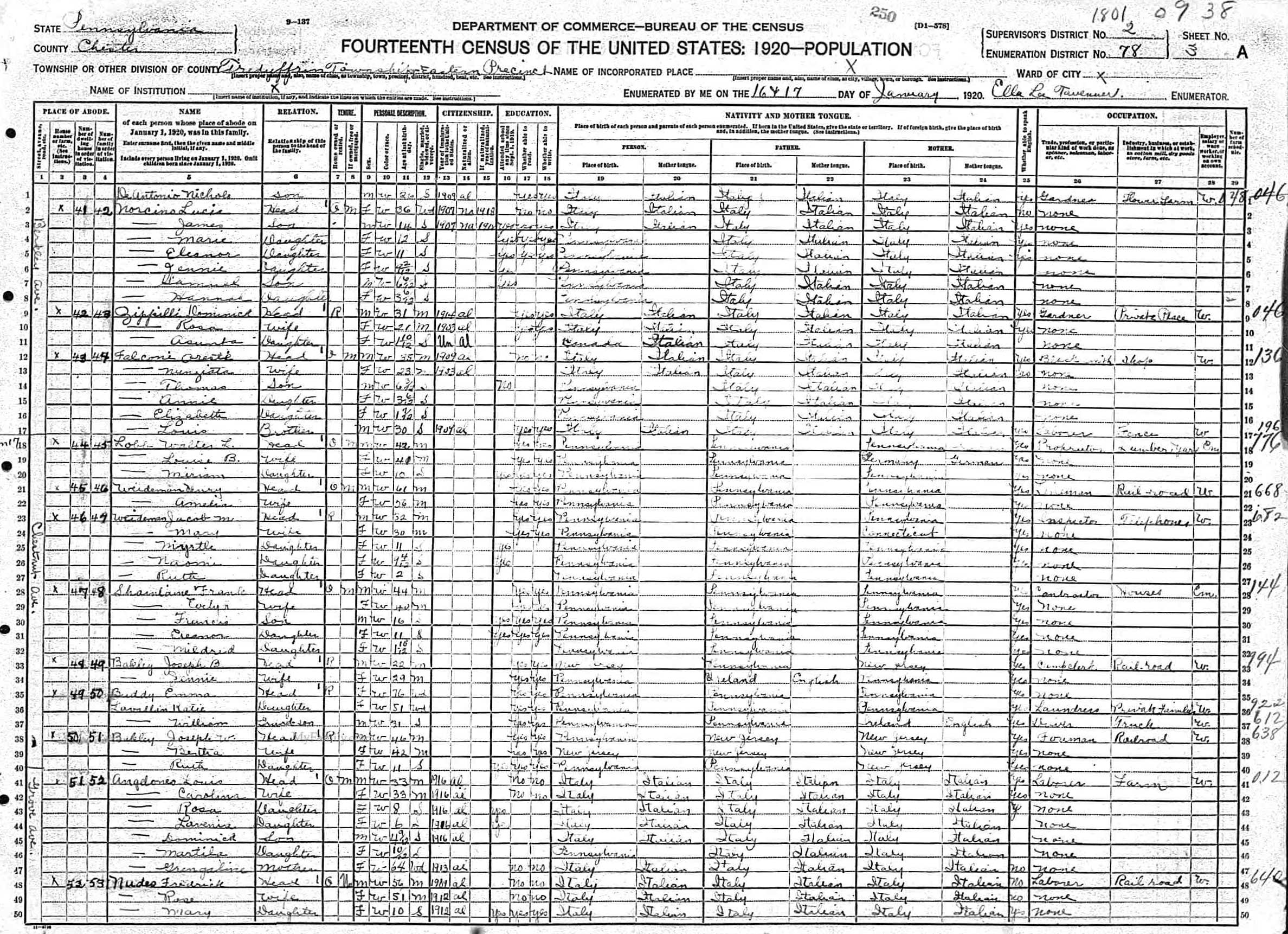 1920 Census — Domenico Zippilli Family