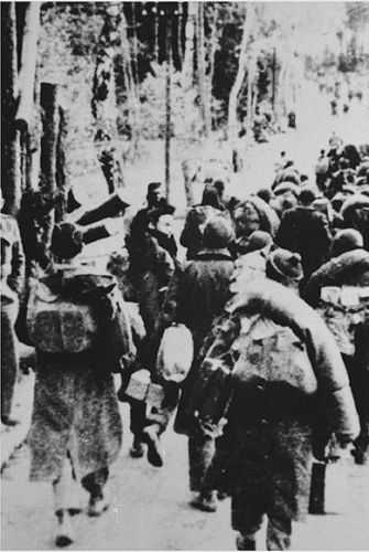 Prisoners on the forced march from Stalag Luft 4, February 1945