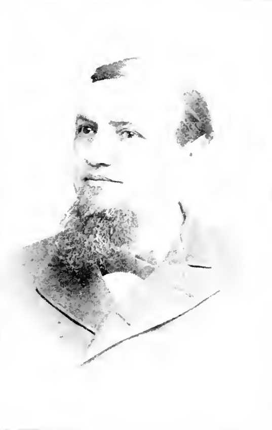Rev. W.P.C. Strickland