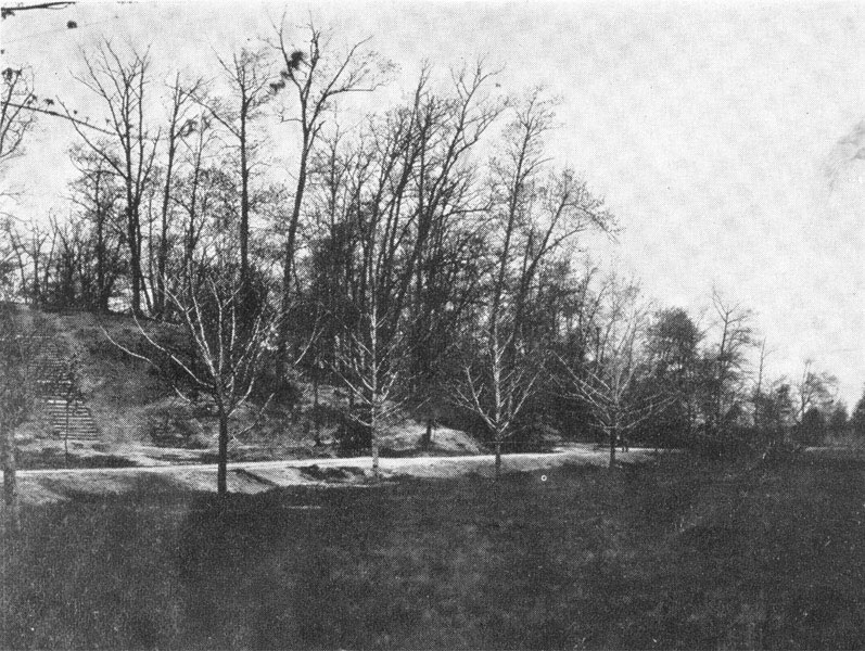 Scene in Forest Hill Park, Camden, 1919