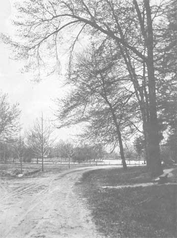 Cooper River Drive, Forest Hill Park, Camden