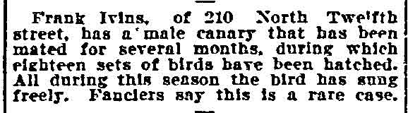 Philadelphia Inquirer, August 5, 1906 — Frank Ivins, canary breeder, 210 North 12th Street