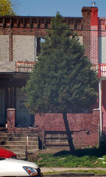 115 North 25th Street, April 24, 2009