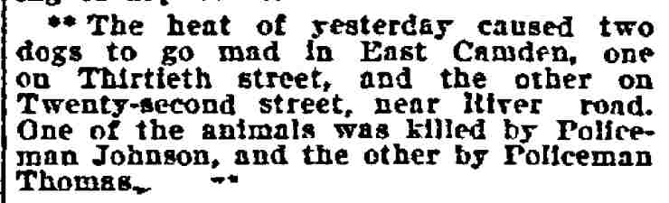 Philadelphia Inquirer August 22, 1906 — Policeman Johnson kills mad dog in East Camden