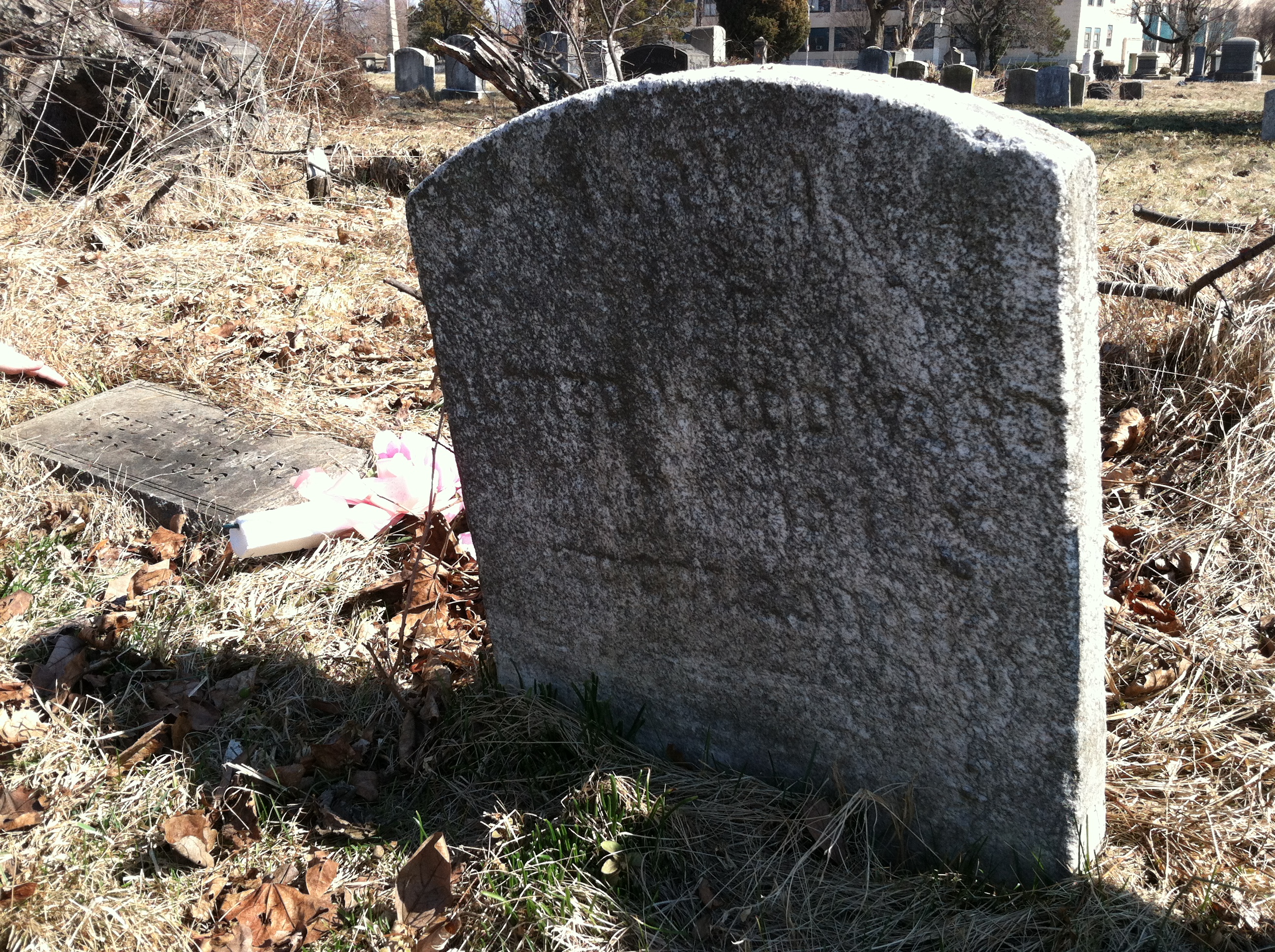 Alfred E. Woodward family genealogy