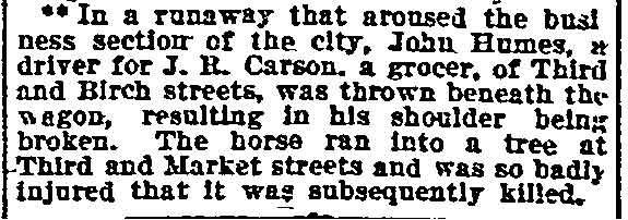 John Humes runaway — Philadelphia Inquirer, November 17, 1907