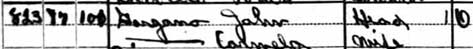 1920 U.S. Census excerpts, South Fourth Street