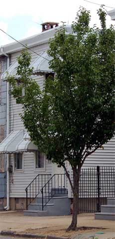 1828 South Fourth Street