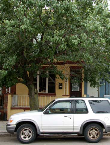 1911 South Fourth Street