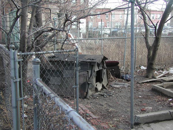 2000 Arlington Street—Rear, February 7, 2004