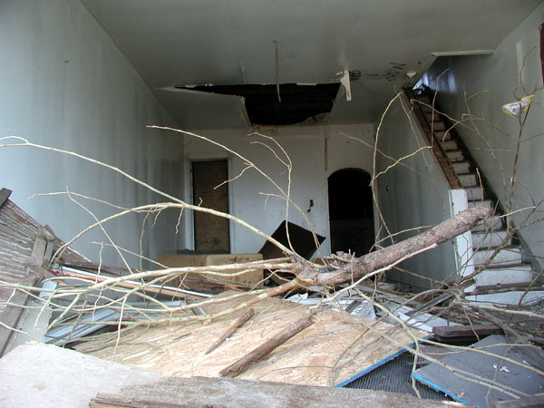 First floor of 2050 Arlington Street, February 7, 2004
