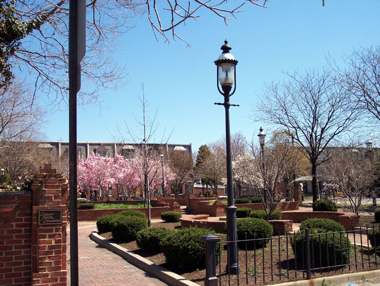 Auburn Street, April 2005
