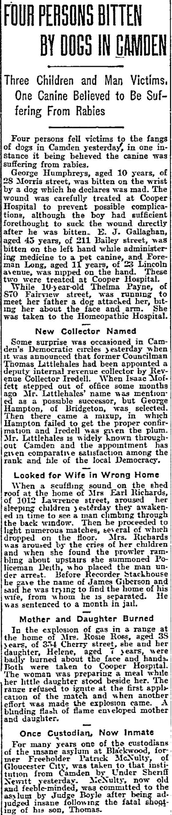 Four Persons Bitten by Dogs in Camden - Philadelphia Inquirer, August 24, 1915
