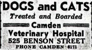526 Benson Street, Camden Veterinary Hospital, 1936