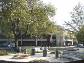 Robert Wood Johnson Medical School at Camden