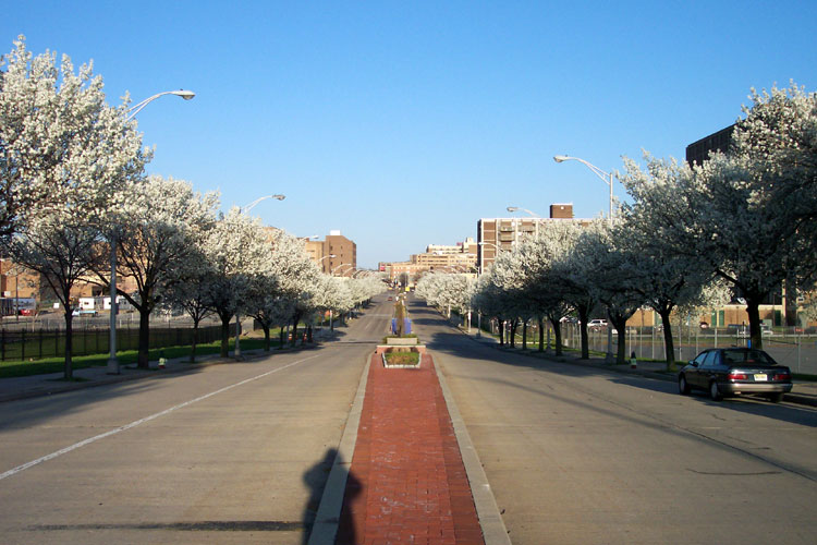 Unit Block of Mickle Street, April 2005, photo by Craig Campbell