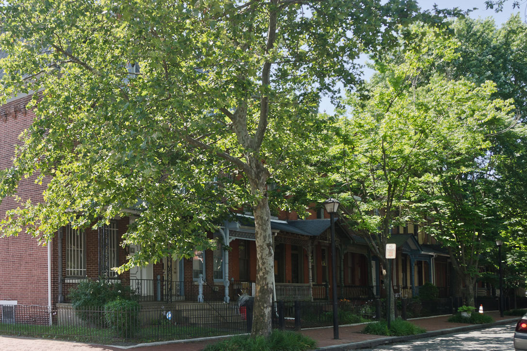 420 to 430 Chambers Avenue, June 15, 2012