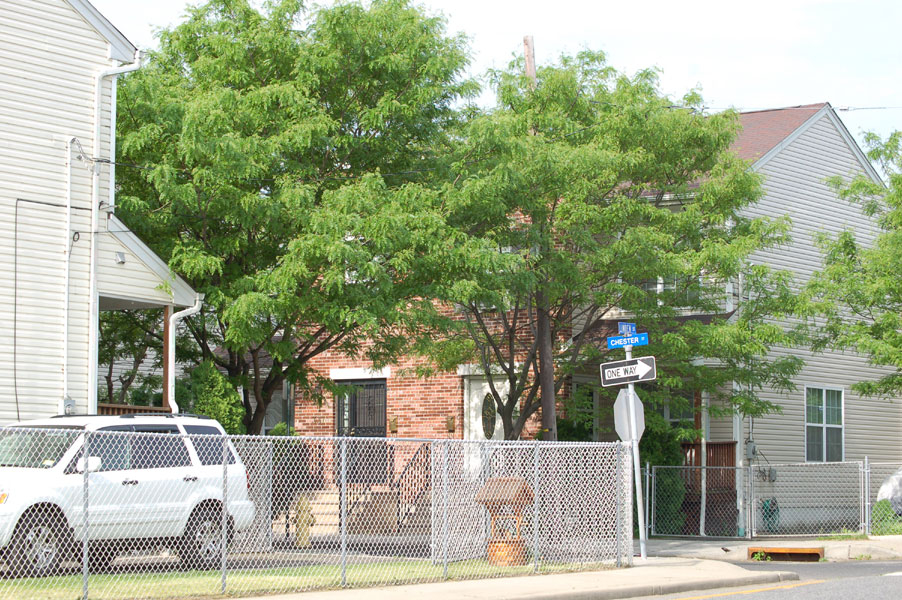 Intersection of Chester and Linden Street, May 2, 2010