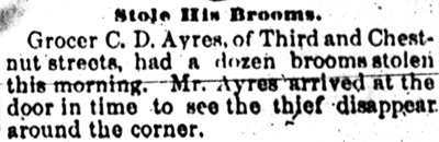 Camden Post-Telegram, March 21, 1893 — 295 Chestnut Street, Charles S. Ayres