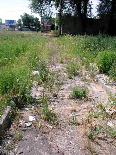 Looking south on Coates Avenue from Cherry Street, July 10, 2004