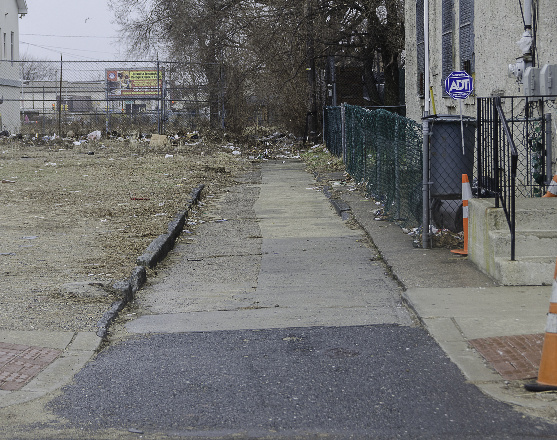 Looking South on Coates Alley from Spruce Street, March 19, 2014