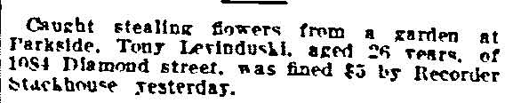 Caught Stealing Flowers — Tony Levindoski, Diamond Street — Philadelphia Inquirer, June 8, 1915