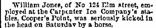 124 Elm Street, Philadelphia Inquirer, June 23, 1884