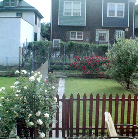 The back yard, 152 Eutaw Avenue, 1950s