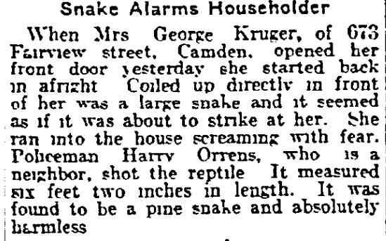 Snake Alarms Householder, Philadelphia Inquirer, June 17, 1915