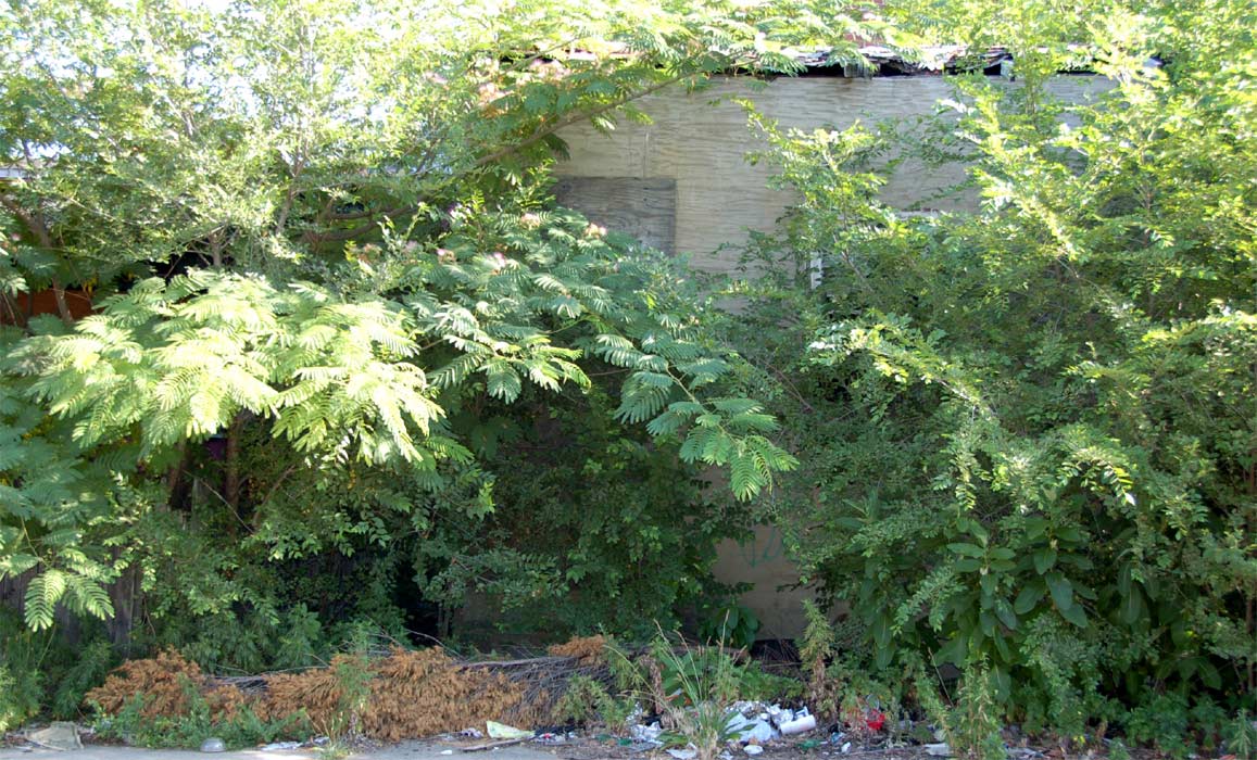 807 Fairview Street, July 2, 2011