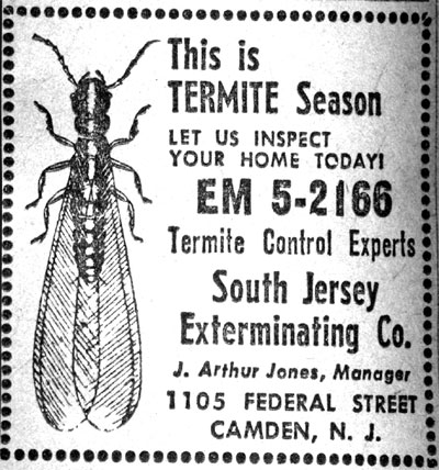 This is Termite Season