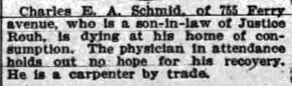 Charles Schmid article, Camden Daily Courier, February 18, 1905