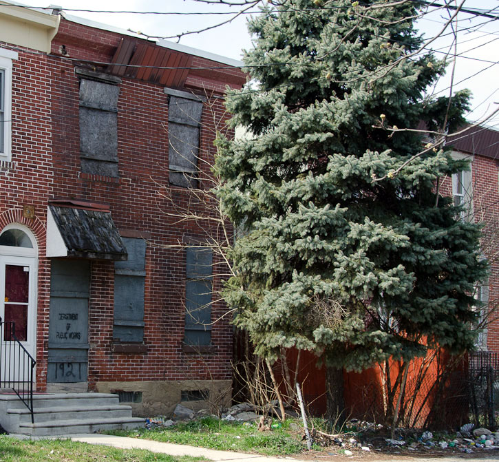 1921 Fillmore Street, March 15, 2012