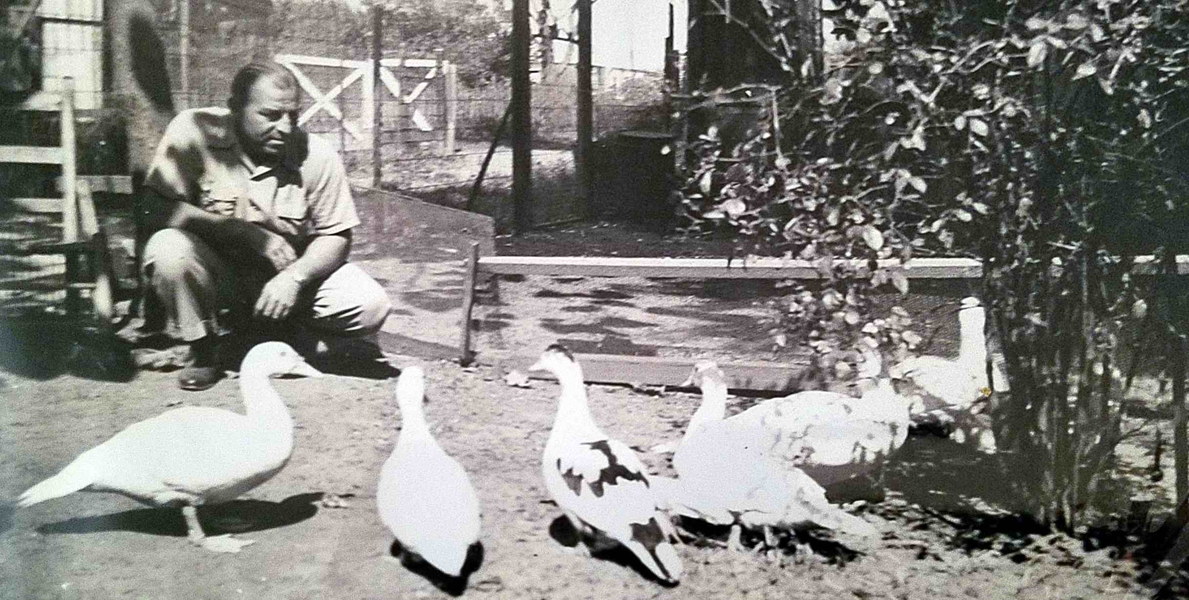 James Rocanella with geese, 917 Florence Street