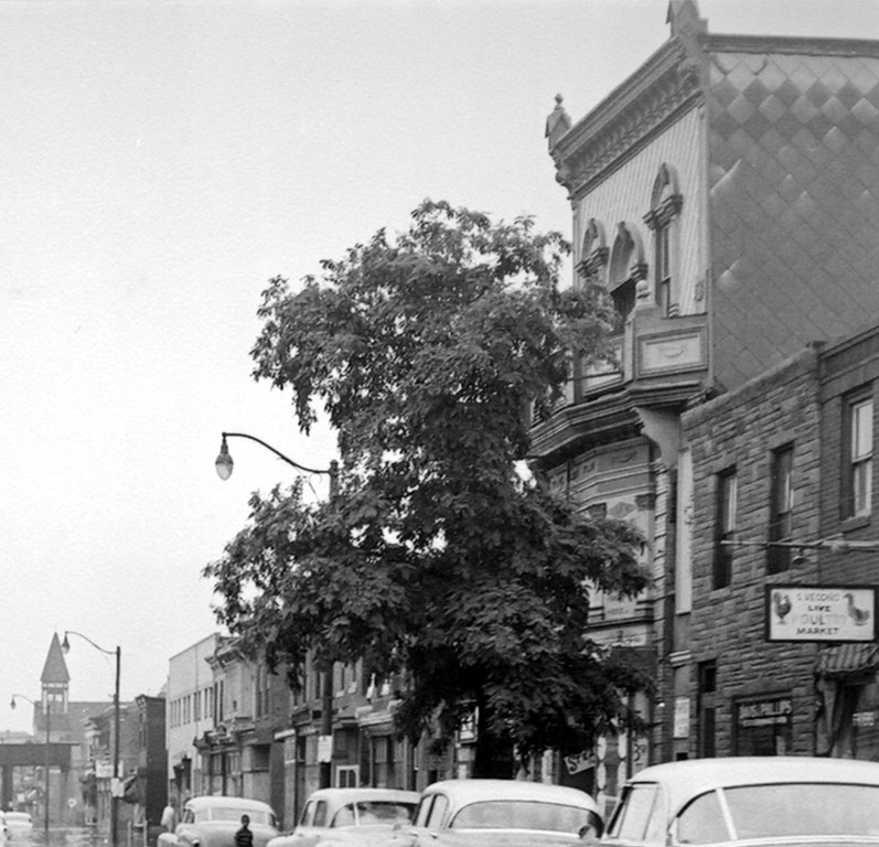 North side of Kaighn Avenue west of 1045, August 11, 1958
