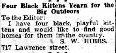 Camden Courier-Post letter to the editor from S. W. Hibbs of 717 Lawrence Street seeking homes for kittens, July 24, 1941