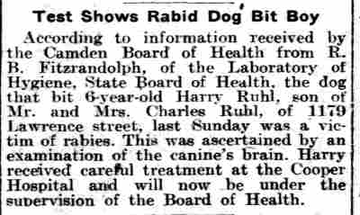 Philadelphia Inquirer article about Harry Ruhl of 1179 Lawrence Street bitten by a rabid dog, June 12, 1913