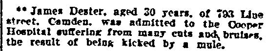 793 Line Street — James Dexter, Philadelphia Inquirer, June 1, 1893