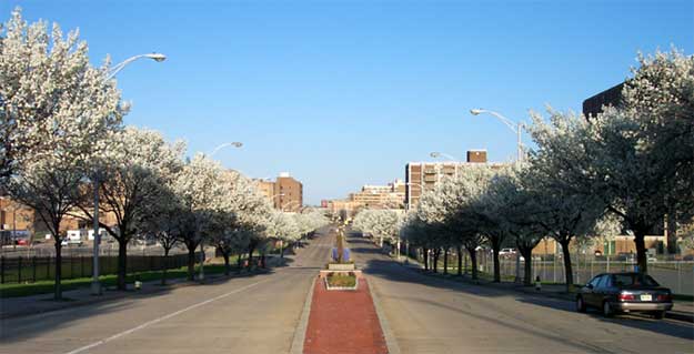 Unit Block of Mickle Street looking west from Wiggins Park, April 2005