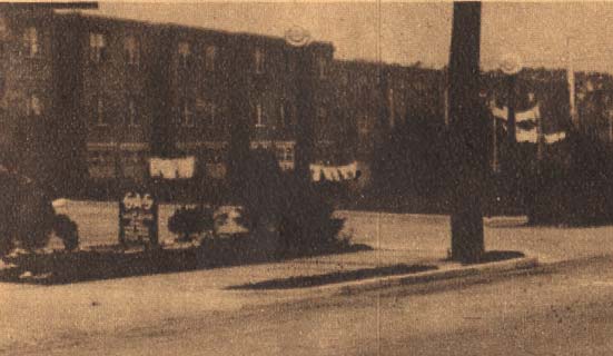 Rear of 242 to 232 and 222 to 200–236 Morse Street as seen from Marlton Avenue and Baird Boulevard, 1931