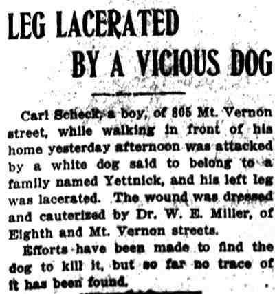 805 Mount Vernon Street — Carl Scheck, Camden Post-Telegram March 9, 1908