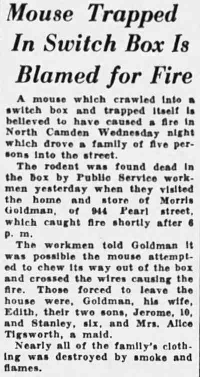 944 Pearl Street, Morris Goldman and Family, Camden Courier-Post, August 14, 1933