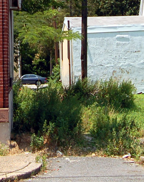 Post Avenue, looking west from South 5th Street, July 3, 2006
