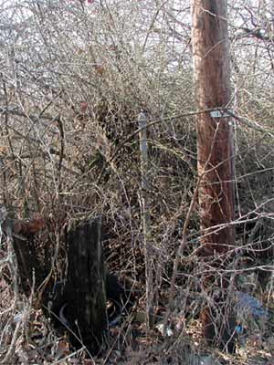Fence pole and streetlight pole, 1700 Block Railroad Avenue, February 2004