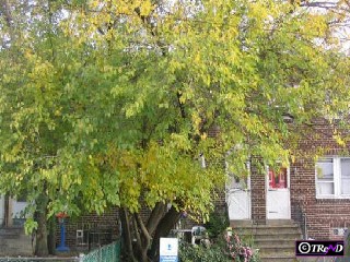 444 Raritan Street, 2005