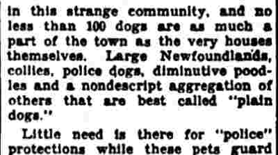 Article text col. 4: Children and Pets in Liney Ditch