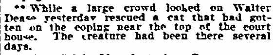 Walter Dease rescues a cat at the courthouse - August 27, 1908